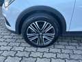 SEAT Arona 1.6 tdi Xcellence 95cv dsg my18 Blanc - thumbnail 8