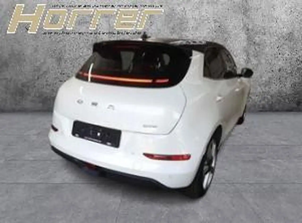 Ora Funky Cat 2024