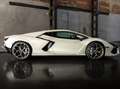 Lamborghini Revuelto Y2025+BalloonWhite+360°+full+PPF+pasngr+screen Weiß - thumbnail 4