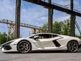 Lamborghini Revuelto Y2025+BalloonWhite+360°+full+PPF+pasngr+screen Weiß - thumbnail 5