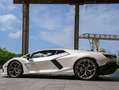 Lamborghini Revuelto Y2025+BalloonWhite+360°+full+PPF+pasngr+screen Weiß - thumbnail 1