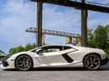 Lamborghini Revuelto Y2025+BalloonWhite+360°+full+PPF+pasngr+screen Weiß - thumbnail 6