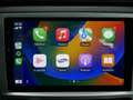 EVO Cross4 Evo Cross4 Cross 4 Nuovo Pick Up Blu/Azzurro - thumbnail 9