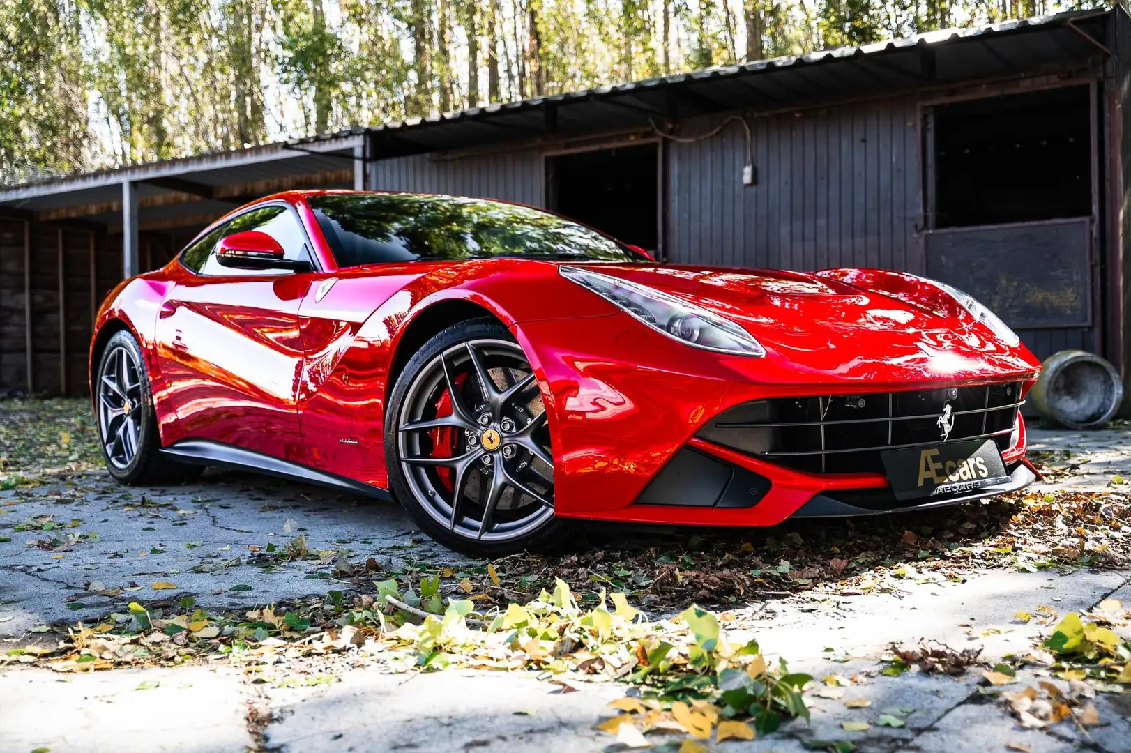 Ferrari F12 BERLINETTA/ BELGIAN / 12.000KM/ CCB /FULL SERVICE Rot - 2