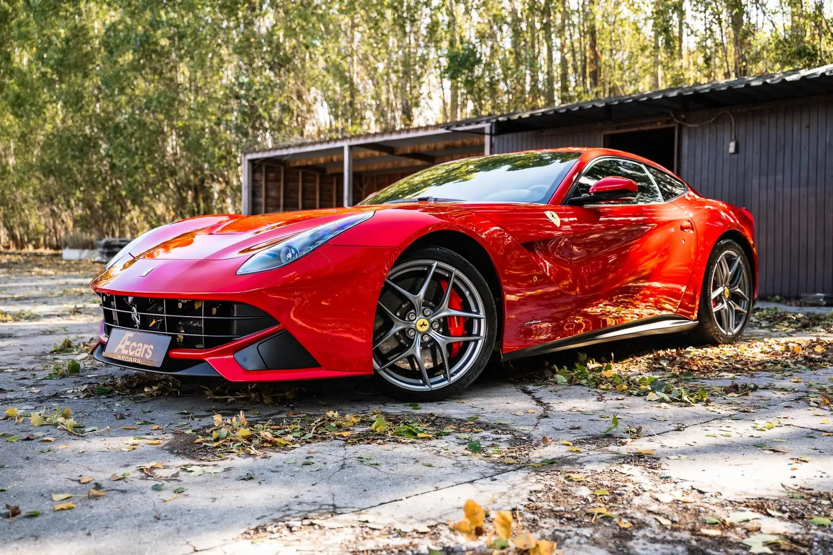 Ferrari F12 BERLINETTA/ BELGIAN / 12.000KM/ CCB /FULL SERVICE Rot - 1