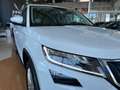 Skoda Kodiaq 2.0TDI AB tech Ambition 4x2 DSG 110kW Weiß - thumbnail 4