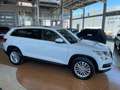 Skoda Kodiaq 2.0TDI AB tech Ambition 4x2 DSG 110kW Weiß - thumbnail 6