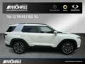 SsangYong Torres Torres 1.5 P 4WD Sondermodell NOMAD Navi Kamera Argintiu - thumbnail 5