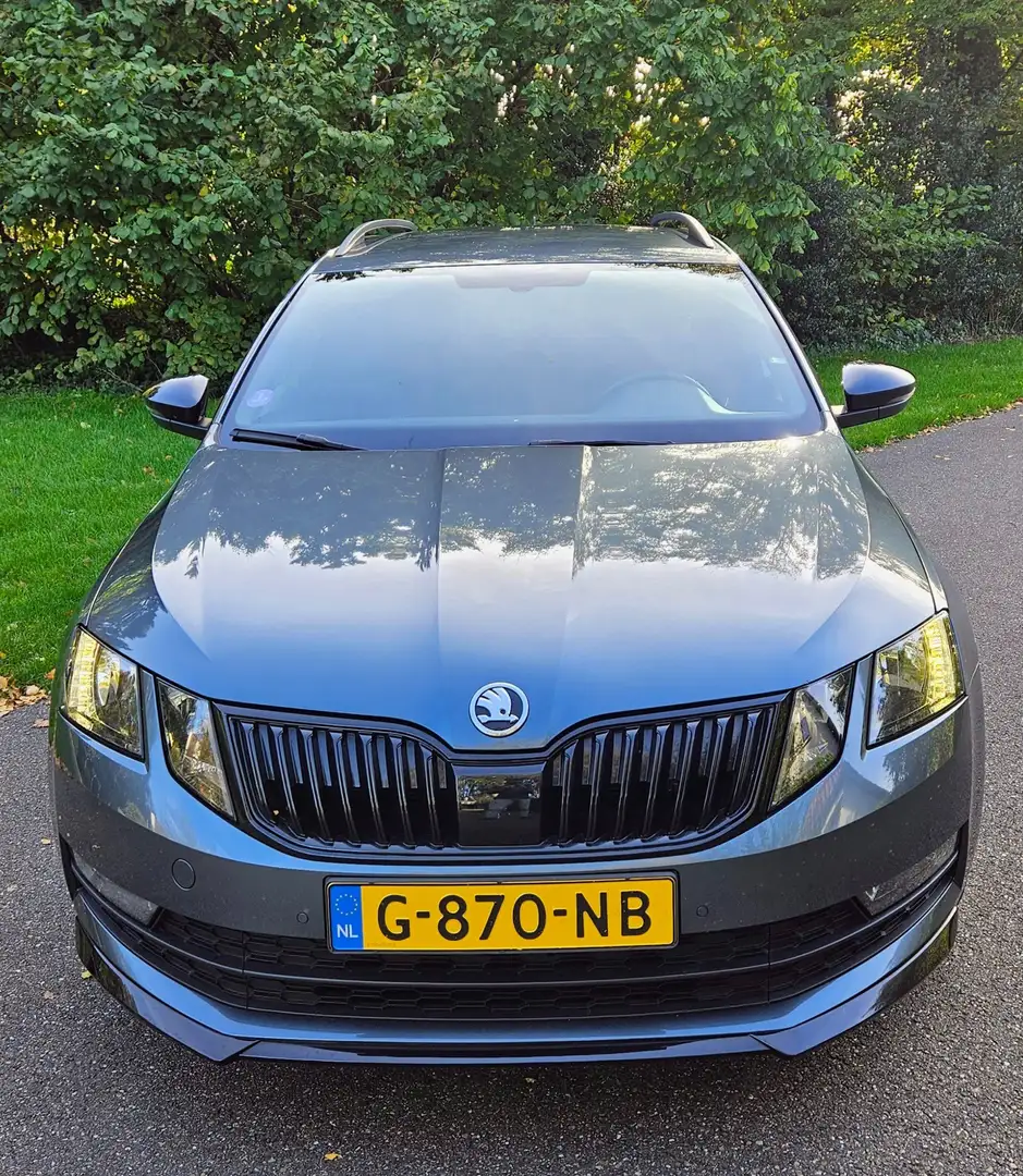 Skoda Octavia Octavia 1.0 TSI Sport Bns Grijs - 2