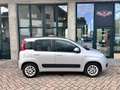 Fiat Panda 0.9 t.air turbo 85cv Automatica ***NEOPATENTATI*** Grigio - thumbnail 7