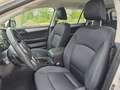 Subaru OUTBACK Outback Touring Wagon 2,0 D Comfort AWD CVT Weiß - thumbnail 9
