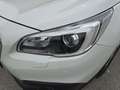 Subaru OUTBACK Outback Touring Wagon 2,0 D Comfort AWD CVT Weiß - thumbnail 14