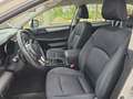 Subaru OUTBACK Outback Touring Wagon 2,0 D Comfort AWD CVT Weiß - thumbnail 8