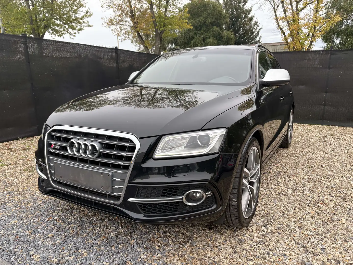 Audi SQ5 SQ5 3.0 TDi V6 Quattro SQ5 Tiptronic Gris - 1