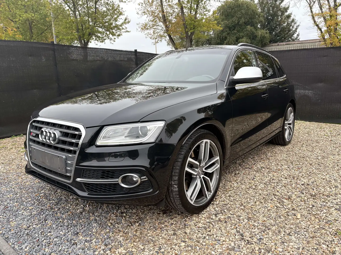 Audi SQ5 SQ5 3.0 TDi V6 Quattro SQ5 Tiptronic Gris - 2