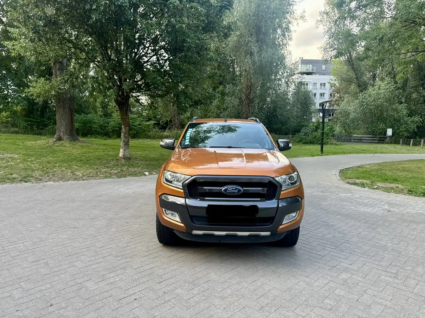Ford Ranger Ranger 3.2 TDCi Wildtrak Orange - 2