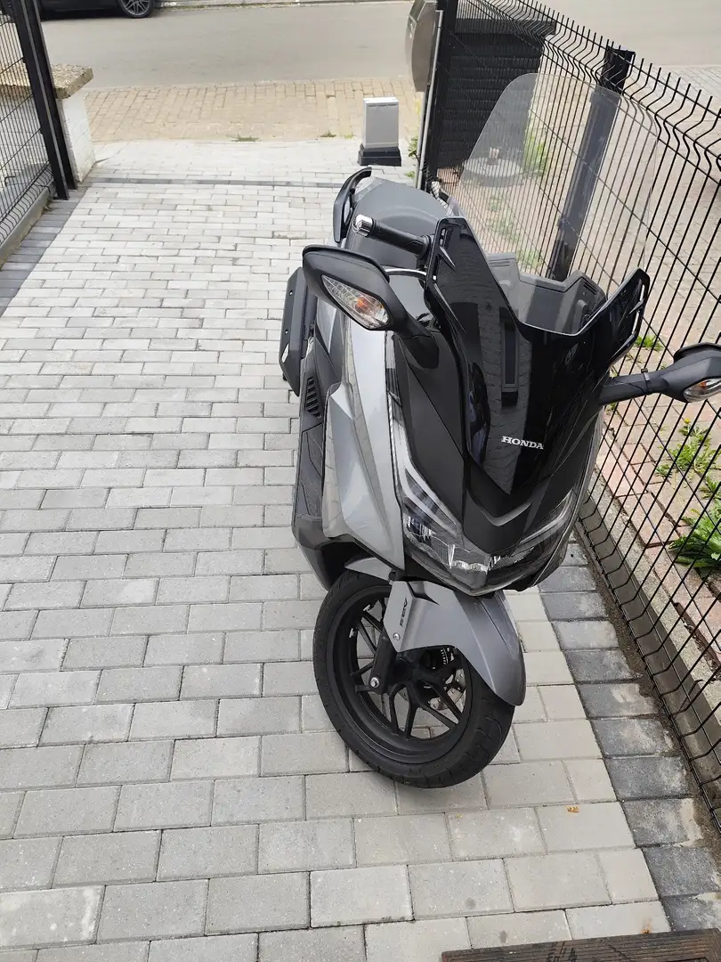 Honda Forza 125 Gris - 1