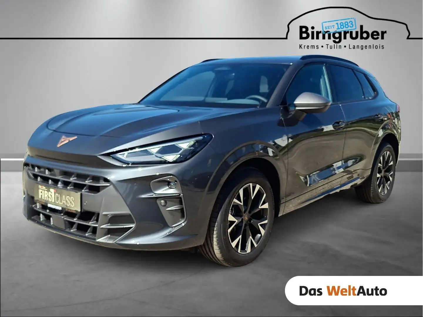 CUPRA Terramar 1.5 e-TSI 150 PS DSG Grau - 1