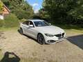 BMW 435 435 d xDrive Sport Line *BMW Premium Garantie* Weiß - thumbnail 2