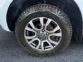 Ford Ranger Doppelkabine 4x4 2.0 TDCi Panther Wildtrak Weiß - thumbnail 13