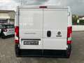 Fiat Ducato 30 CH1 2.3 MJT 120CV L1 H1 FURGONE PC-TN Blanc - thumbnail 6