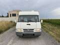 Iveco Campagnola Mobilvetta EuroYacht170 Weiß - thumbnail 4