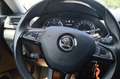 Skoda Superb Kombi 1,6+AHK+NAVI+XENON+SHZ Gri - thumbnail 15