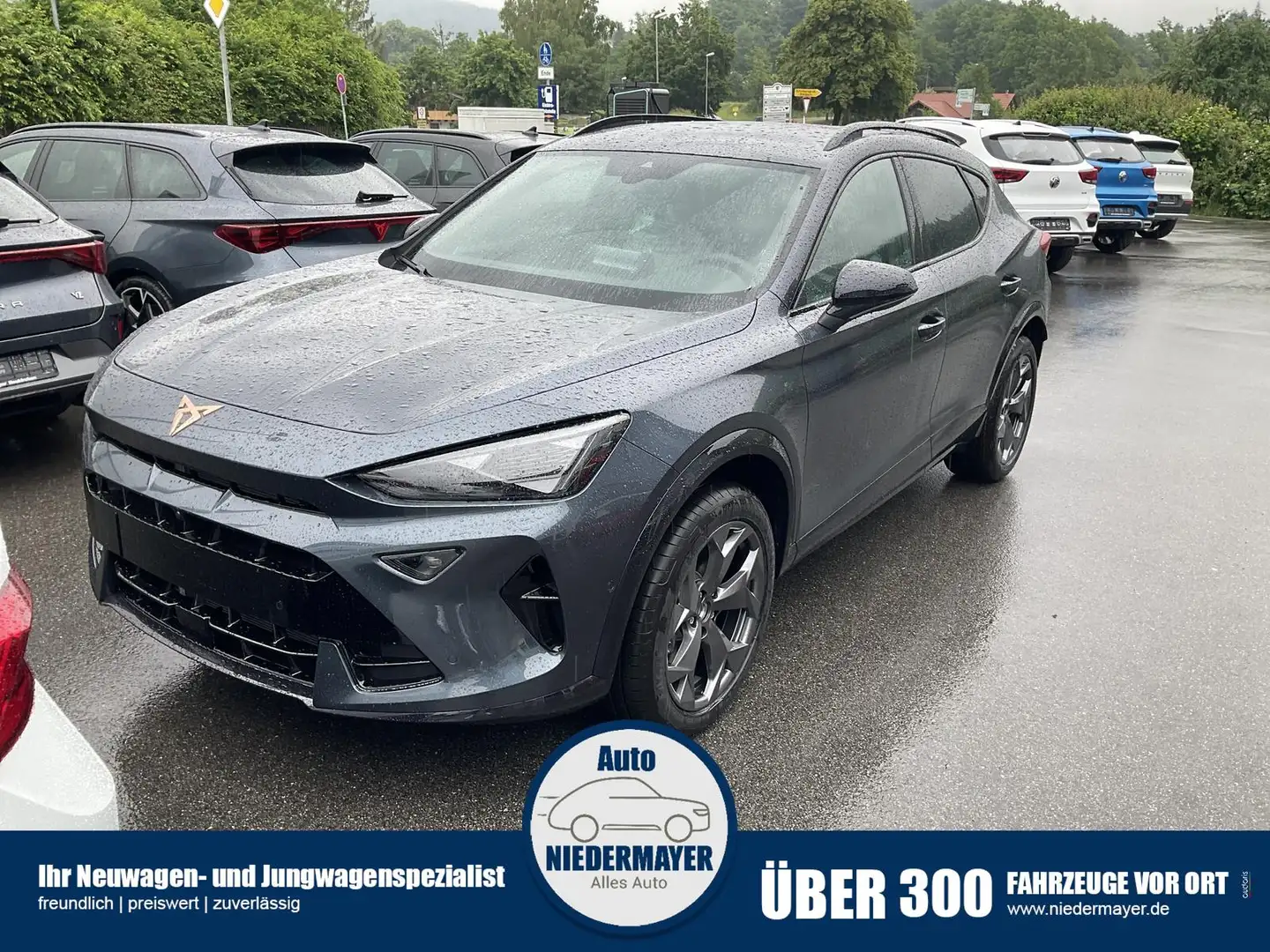 CUPRA Formentor 2.0 TDI DSG, AHK, Area, Navi, 5-J Garantie Grau - 1