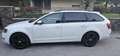 Skoda Octavia Wagon 1.6 tdi cr Executive 105cv dsg - thumbnail 2
