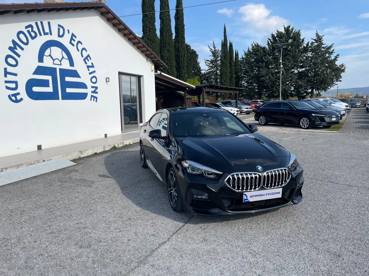 BMW 216 usata in vendita