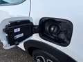 Citroen C3 1.2 PureTech Business |Carplay|Navi|Camera| Weiß - thumbnail 14