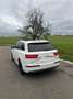 Audi Q7 e-tron 3.0 TDI e-tron quattro Weiß - thumbnail 5