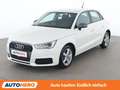 Audi A1 1.0 TFSI Design Weiß - thumbnail 1