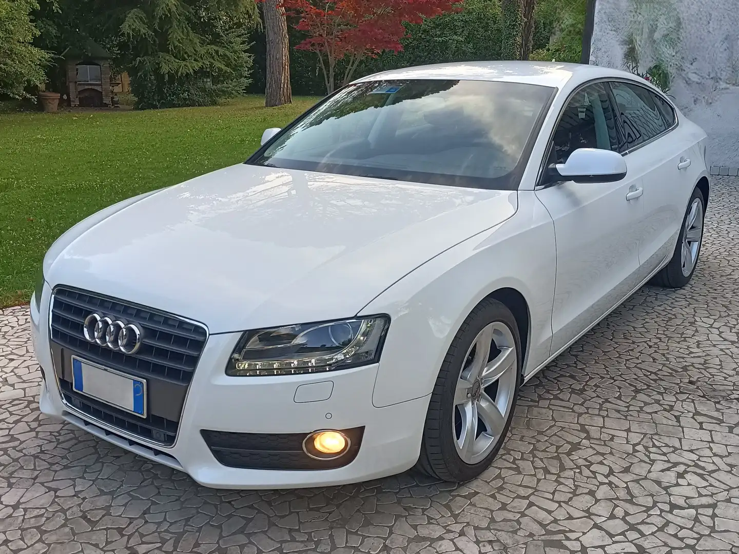 Audi A5 A5 I 2007 SB 2.0 tdi Advanced 143cv multitronic Blanco - 1