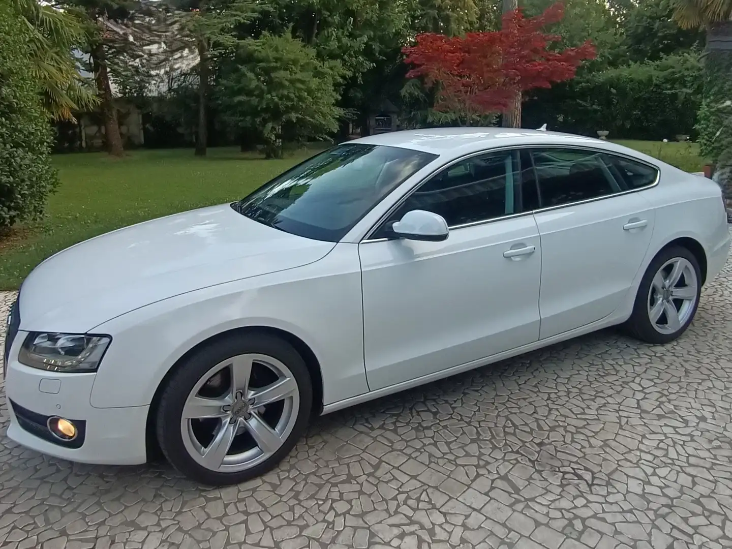 Audi A5 A5 I 2007 SB 2.0 tdi Advanced 143cv multitronic Blanco - 2