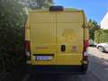 Fiat Ducato 33 L2H2 130 GR-Panorama Gelb - thumbnail 4