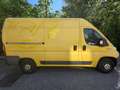 Fiat Ducato 33 L2H2 130 GR-Panorama Gelb - thumbnail 6