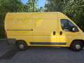 Fiat Ducato 33 L2H2 130 GR-Panorama Gelb - thumbnail 9