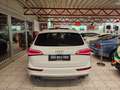 Audi SQ5 - VERKAUFT - 3.0 TDI quattro Panorama Weiß - thumbnail 11