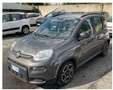 Fiat Panda Panda 1.0 firefly hybrid City Life s Grigio - thumbnail 1