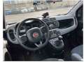 Fiat Panda Panda 1.0 firefly hybrid City Life s Grigio - thumbnail 5