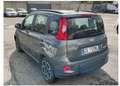 Fiat Panda Panda 1.0 firefly hybrid City Life s Grigio - thumbnail 4
