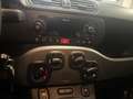 Fiat Panda Panda 1.0 firefly hybrid City Life s Grigio - thumbnail 14