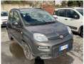Fiat Panda Panda 1.0 firefly hybrid City Life s Grigio - thumbnail 2