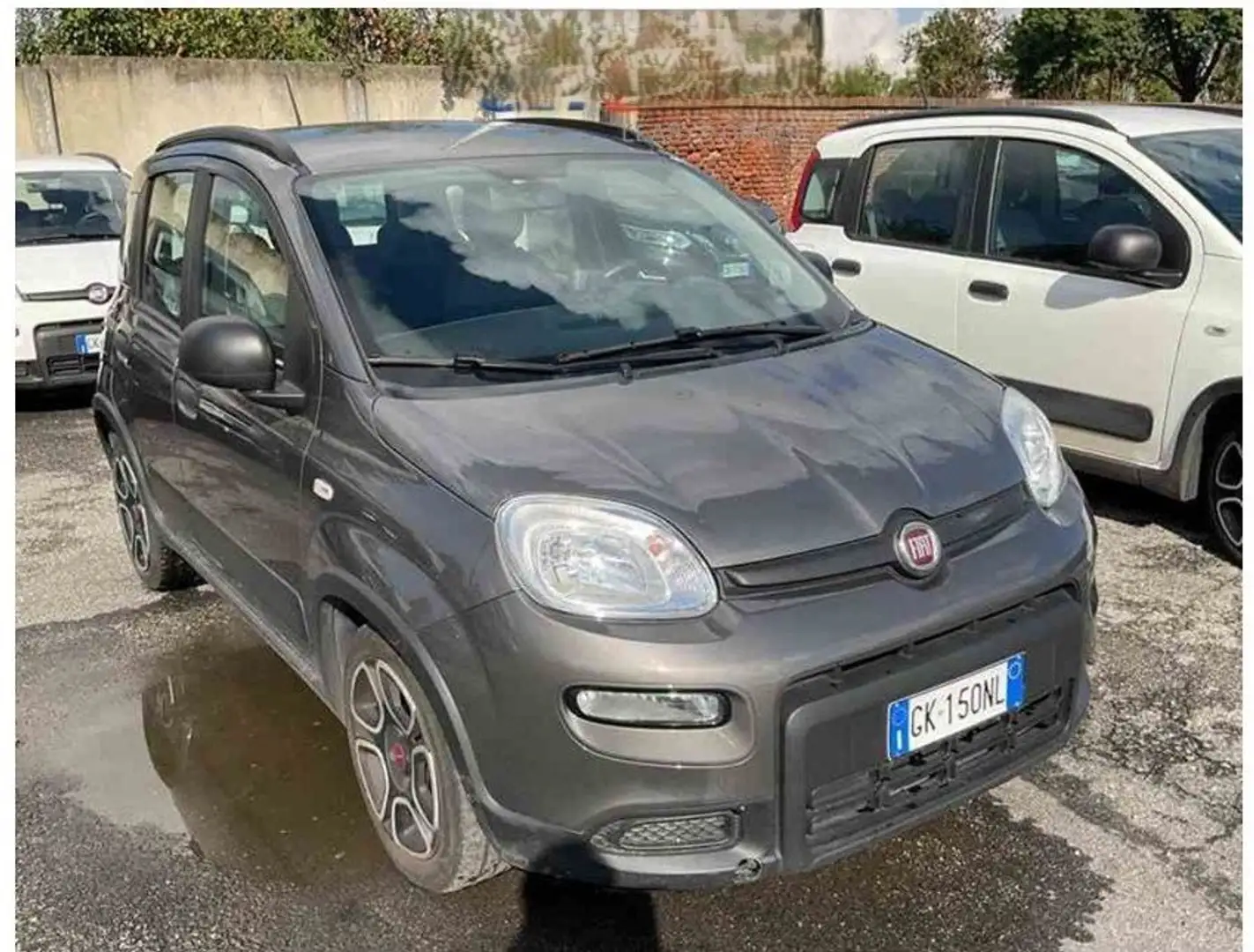 Fiat Panda Panda 1.0 firefly hybrid City Life s Grigio - 2
