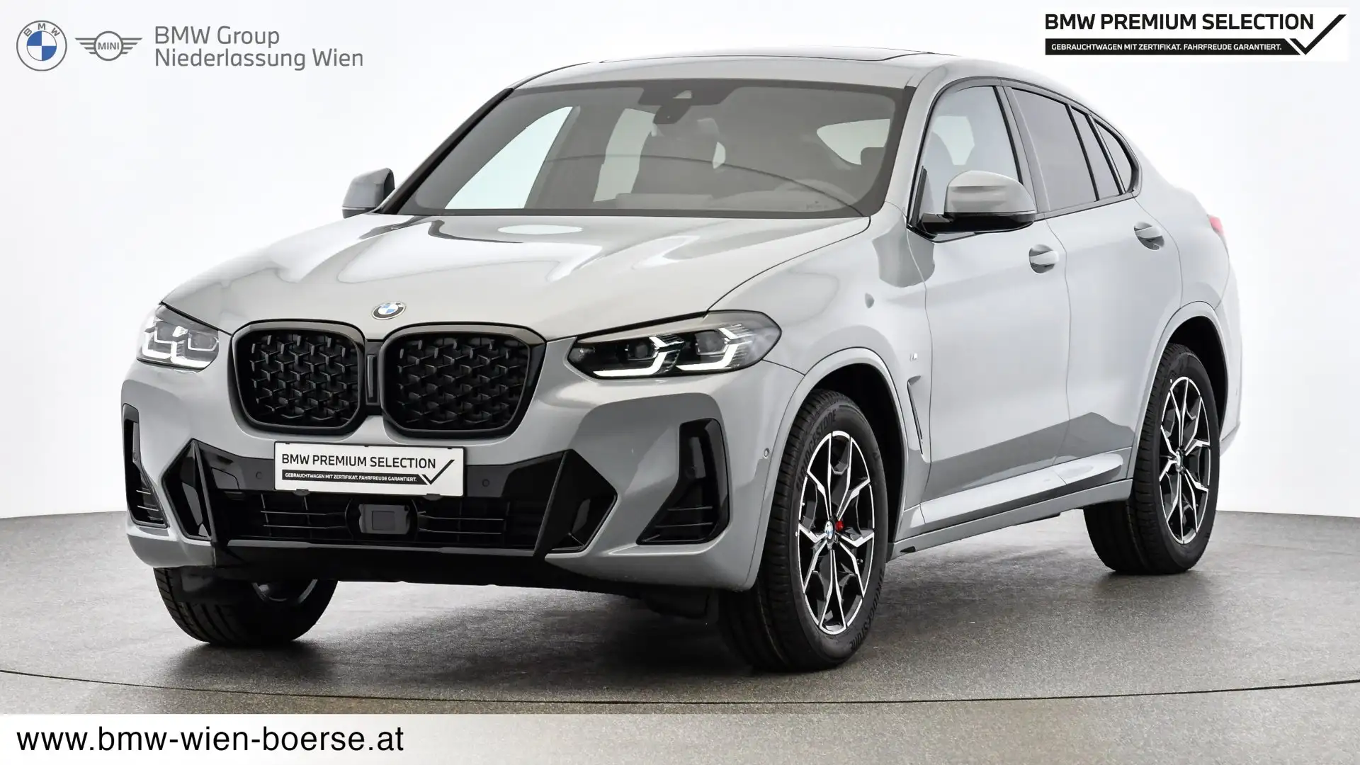 BMW X4 xDrive20d Grau - 1