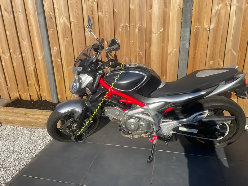 Suzuki GLADIUS 650 - foto 5