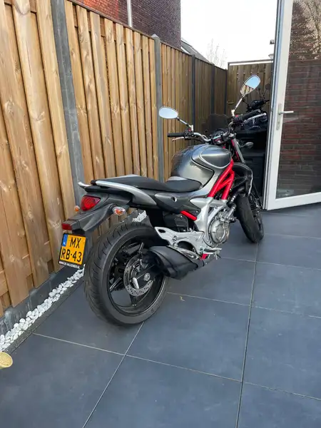Suzuki GLADIUS 650 - foto 2