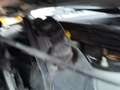 Ford Fiesta Viva X Plateado - thumbnail 11