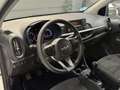 Kia Picanto 1.0 DPi Concept Blanc - thumbnail 15